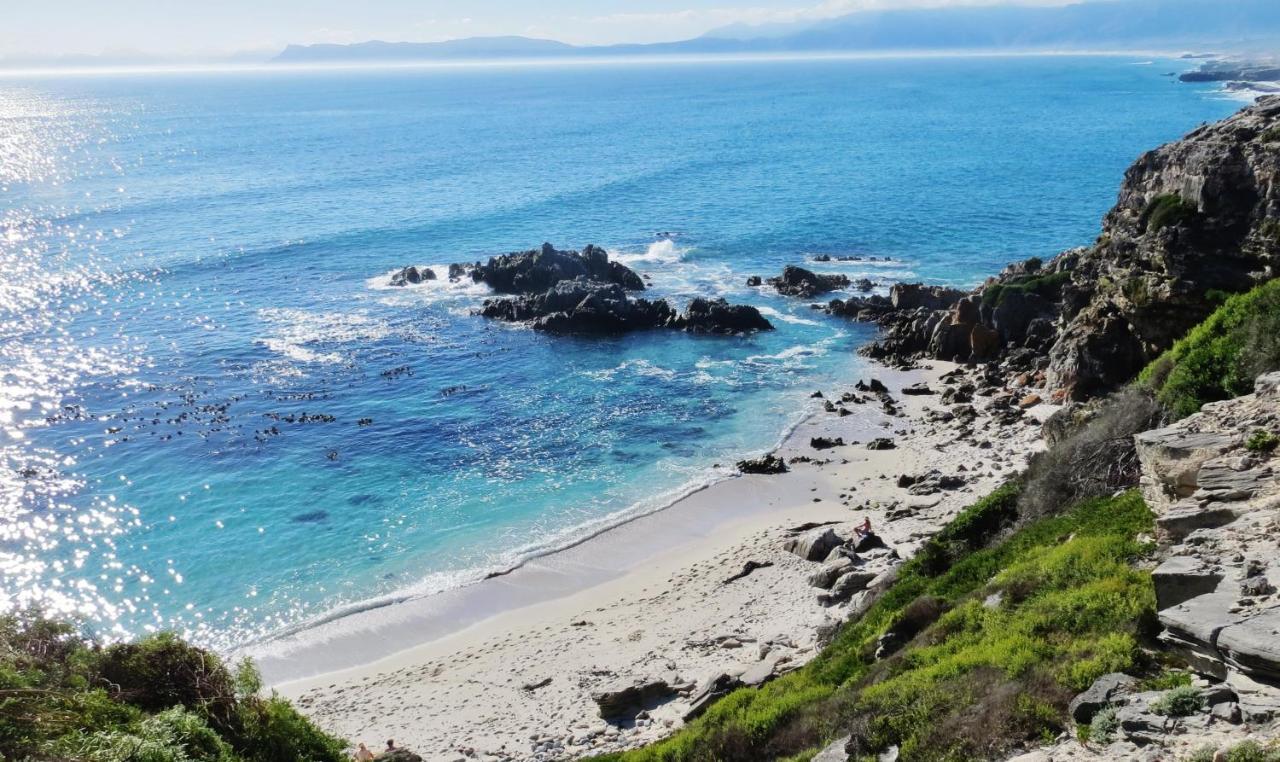 Kleinzee Oceanfront Guesthouse Gansbaai Eksteriør billede