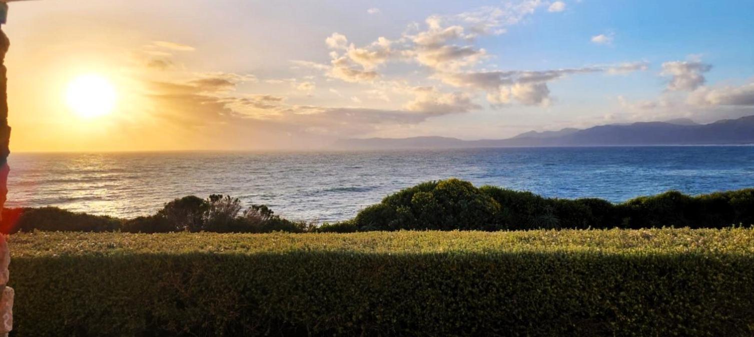 Kleinzee Oceanfront Guesthouse Gansbaai Eksteriør billede