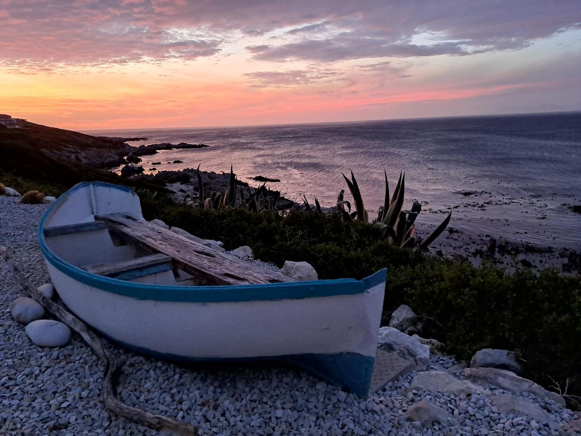 Kleinzee Oceanfront Guesthouse Gansbaai Eksteriør billede
