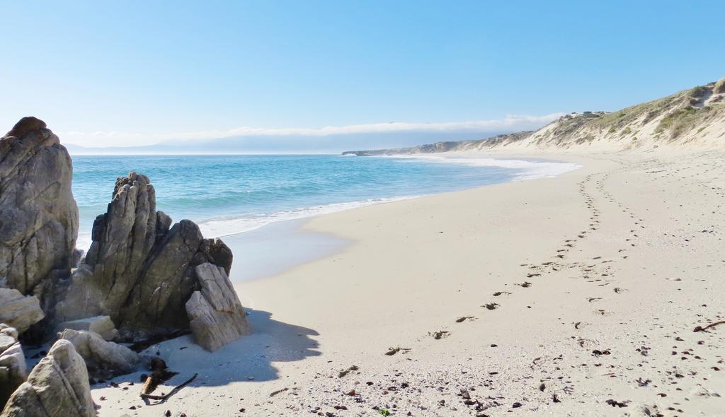 Kleinzee Oceanfront Guesthouse Gansbaai Eksteriør billede