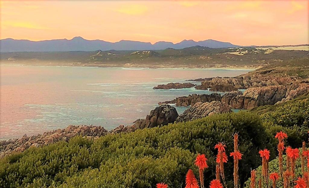 Kleinzee Oceanfront Guesthouse Gansbaai Eksteriør billede