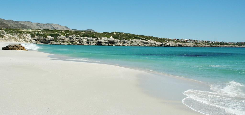 Kleinzee Oceanfront Guesthouse Gansbaai Eksteriør billede
