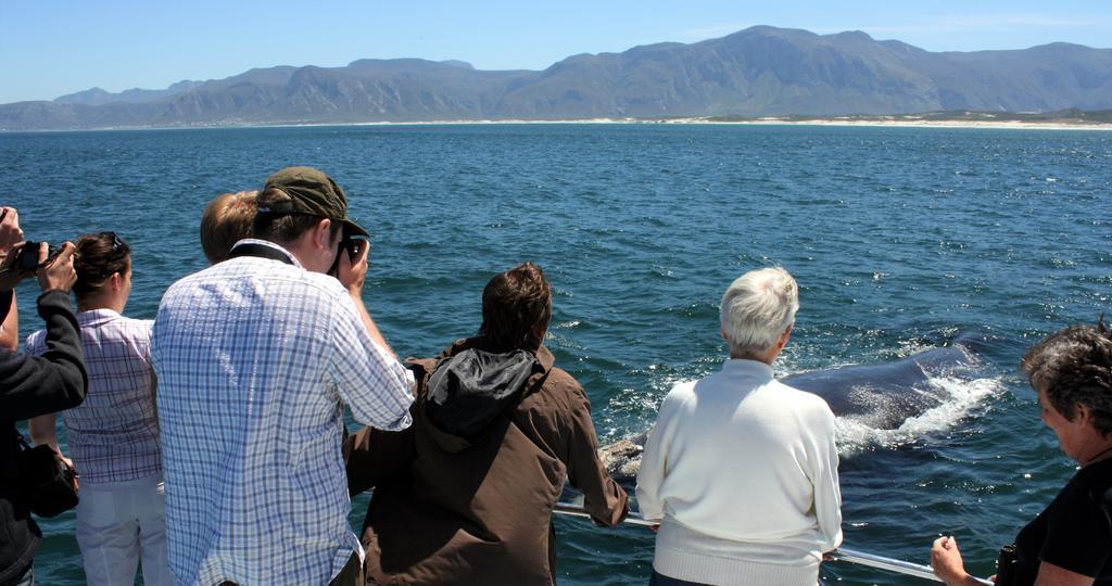 Kleinzee Oceanfront Guesthouse Gansbaai Eksteriør billede